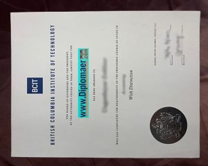 BCIT Fake Certificate