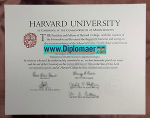 Harvard University fake degree