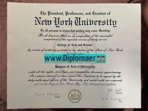 New York University Fake Degree