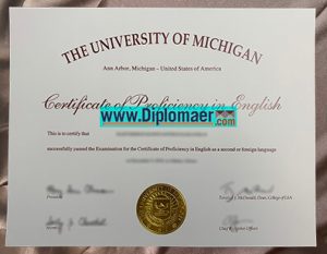 The University of Michigan Fake Diploma