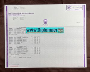 UWO fake diploma
