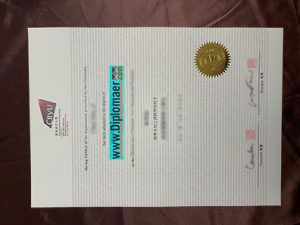 City University of Hong Kong Fake diploma