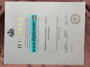Humber College Fake Diploma