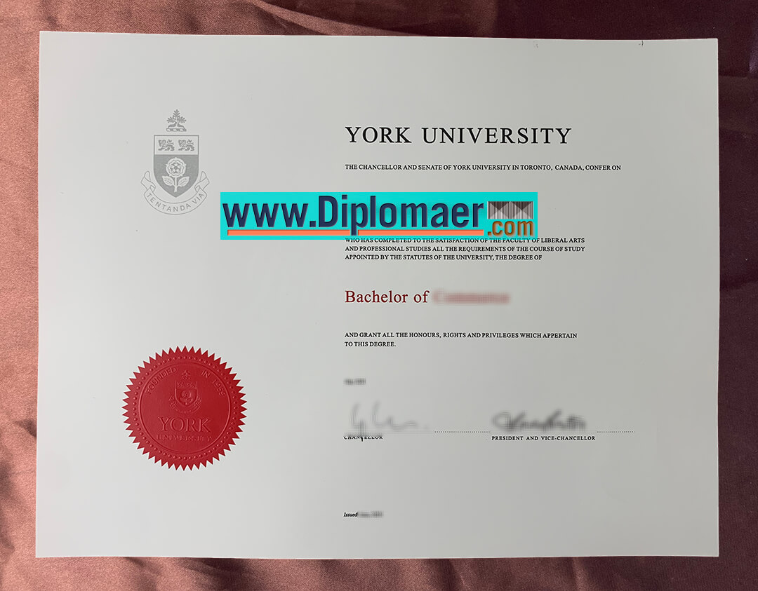 York University Fake Diploma - How to buy a fake York University degree for a better job?