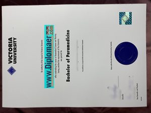 Victoria University Fake Diploma