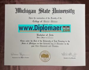 Michigan State University Fake Diploma
