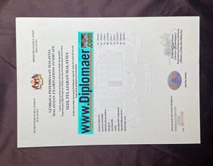 SPM Fake Diploma