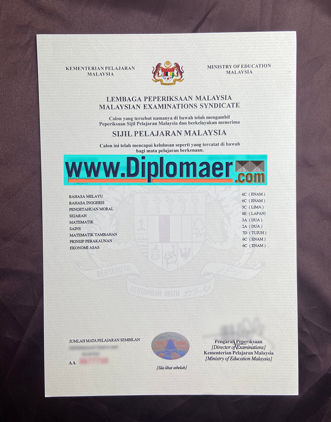SPM Fake Diploma - How to obtain Malaysian SPM diploma quickly?