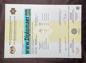 STPM Fake Diploma