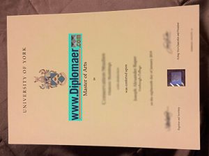 The University of York Fake Diploma