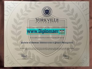 Yorkville University Fake Diploma