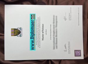 LSE Fake Diploma