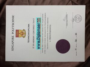 Singapore Polytechnic Fake Diploma