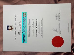 The University of Adelaide Fake Diploma