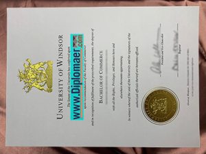 The University of Windsor Fake Diploma