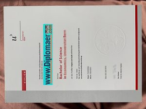 The University of Bern Fake Diploma