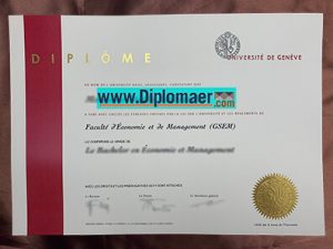The University of Geneva Fake Diploma