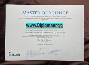 TU Delft Fake Diploma