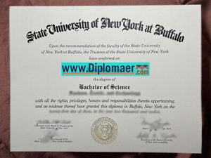 State University of New York at Buffalo Fake Diploma