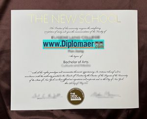The New School Fake Diploma