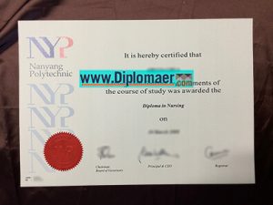 Nanyang Polytechnic fake diploma