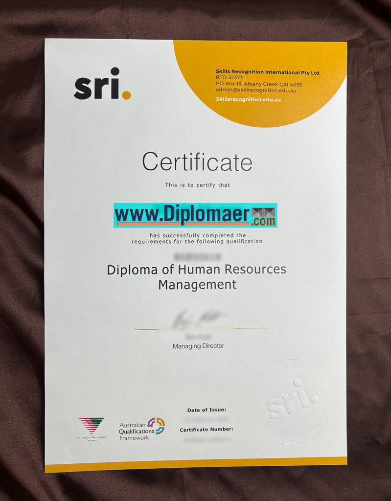 Skills Recognition International fake diploma 799x1024 - How to hold a fake Skills Recognition International certificate in Australia?