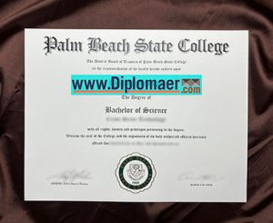 Palm Beach State College Fake Degree 300x245 - Home